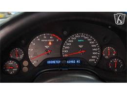 1999 Chevrolet Corvette (CC-2101634) for sale in New Braundfels, Texas