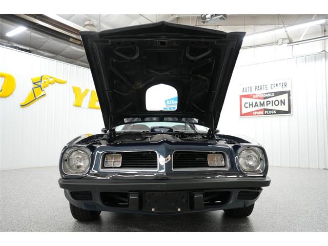 1975 Pontiac Firebird Trans Am (CC-2101652) for sale in Homer City, Pennsylvania
