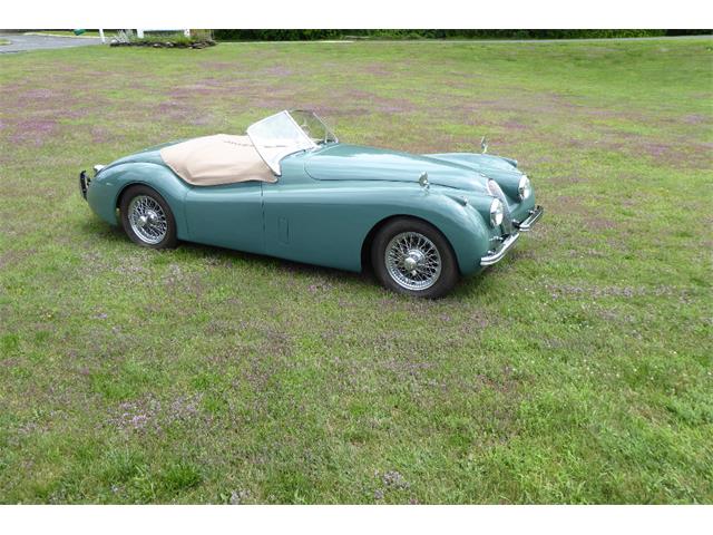 1954 Jaguar Roadster (CC-2101658) for sale in Saratoga Springs, New York