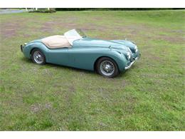 1954 Jaguar Roadster (CC-2101658) for sale in Saratoga Springs, New York