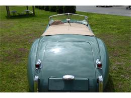 1954 Jaguar Roadster (CC-2101658) for sale in Saratoga Springs, New York
