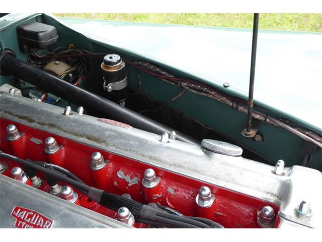 1954 Jaguar Roadster (CC-2101658) for sale in Saratoga Springs, New York