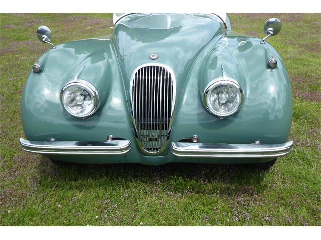 1954 Jaguar Roadster (CC-2101658) for sale in Saratoga Springs, New York