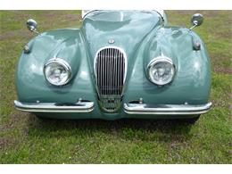 1954 Jaguar Roadster (CC-2101658) for sale in Saratoga Springs, New York