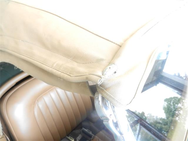 1954 Jaguar Roadster (CC-2101658) for sale in Saratoga Springs, New York
