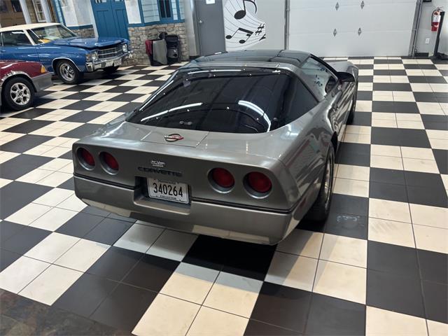 1984 Chevrolet Corvette (CC-2101666) for sale in Annandale, Minnesota