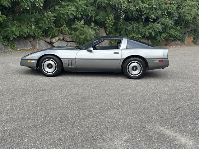 1984 Chevrolet Corvette (CC-2101666) for sale in Annandale, Minnesota