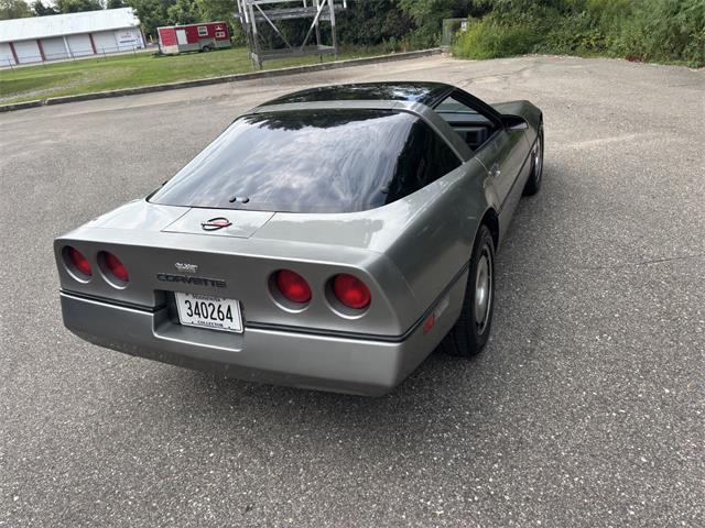 1984 Chevrolet Corvette (CC-2101666) for sale in Annandale, Minnesota