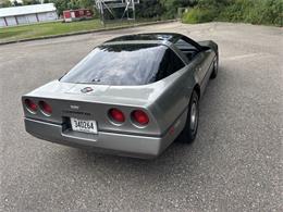 1984 Chevrolet Corvette (CC-2101666) for sale in Annandale, Minnesota