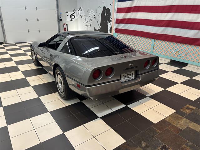 1984 Chevrolet Corvette (CC-2101666) for sale in Annandale, Minnesota
