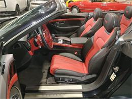 2023 Bentley Continental GTC V8 (CC-2101676) for sale in Boca Raton, Florida