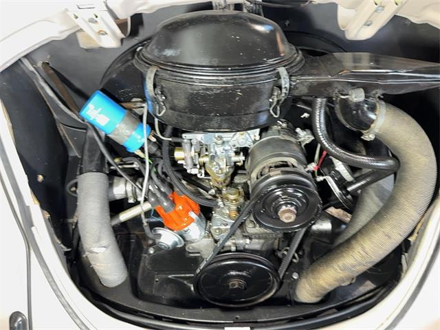 1971 Volkswagen Super Beetle (CC-2101705) for sale in Reading, Pennsylvania
