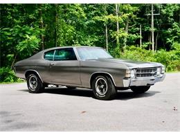 1971 Chevrolet Chevelle (CC-2101726) for sale in Saugatuck, Michigan