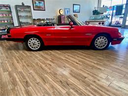 1989 Alfa Romeo Spider (CC-2101732) for sale in Dinuba, California