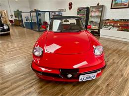 1989 Alfa Romeo Spider (CC-2101732) for sale in Dinuba, California