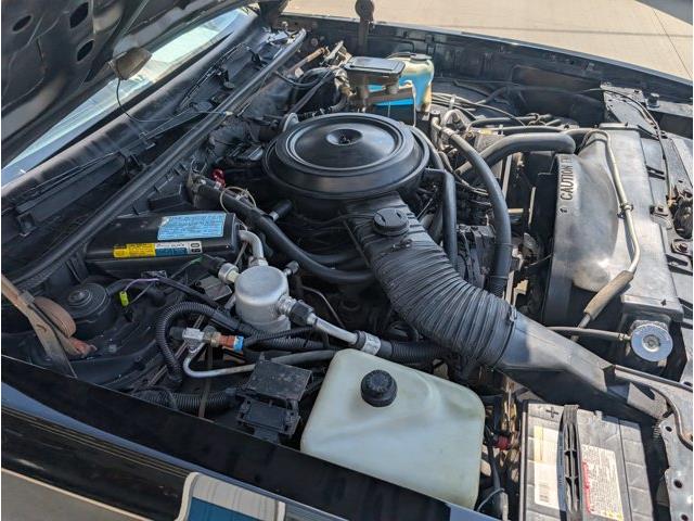 1985 Chevrolet Monte Carlo (CC-2101736) for sale in Webster, South Dakota