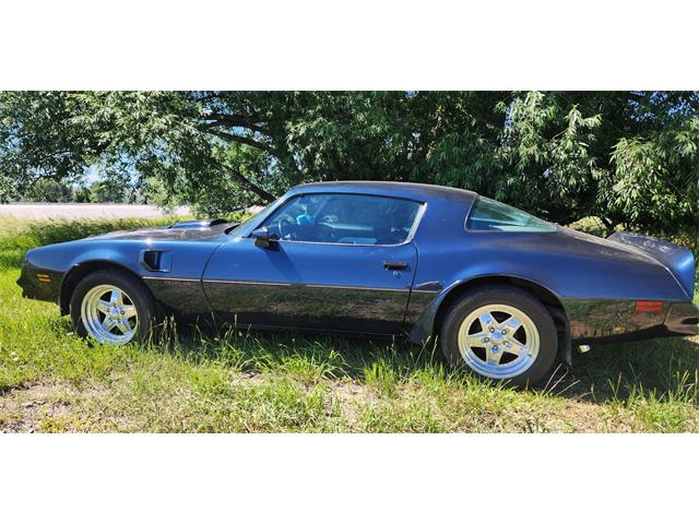1977 Pontiac Firebird Trans Am (CC-2101823) for sale in Billings, Montana