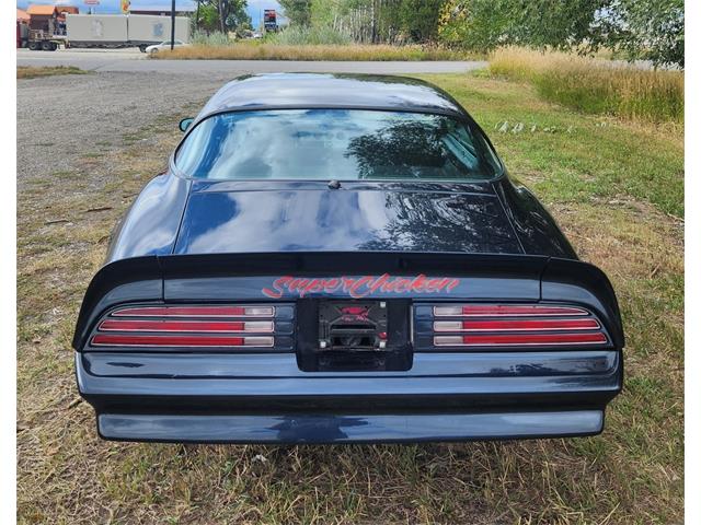 1977 Pontiac Firebird Trans Am (CC-2101823) for sale in Billings, Montana