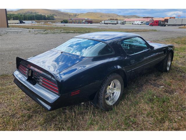 1977 Pontiac Firebird Trans Am (CC-2101823) for sale in Billings, Montana