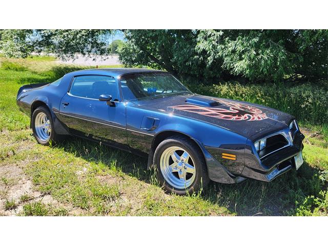 1977 Pontiac Firebird Trans Am (CC-2101823) for sale in Billings, Montana