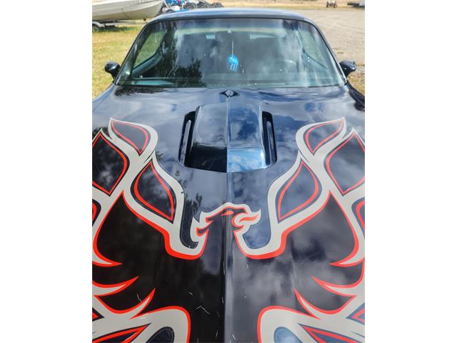 1977 Pontiac Firebird Trans Am (CC-2101823) for sale in Billings, Montana