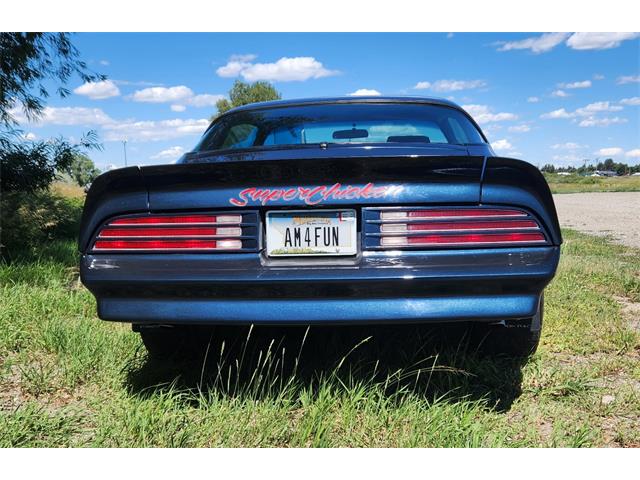 1977 Pontiac Firebird Trans Am (CC-2101823) for sale in Billings, Montana