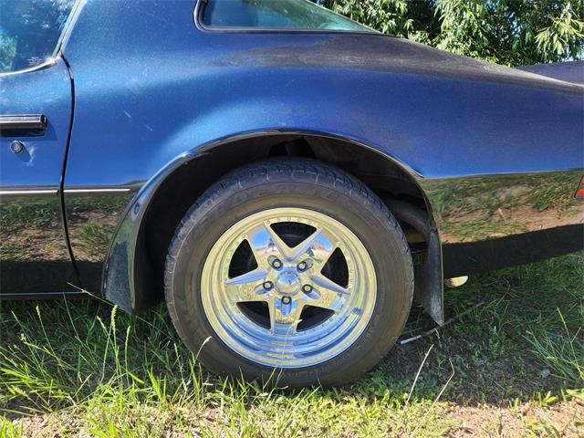 1977 Pontiac Firebird Trans Am (CC-2101823) for sale in Billings, Montana