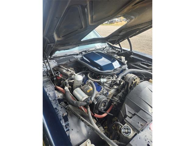 1977 Pontiac Firebird Trans Am (CC-2101823) for sale in Billings, Montana