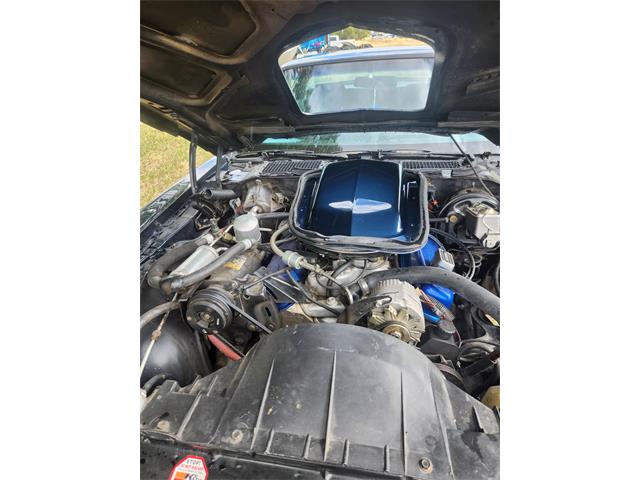 1977 Pontiac Firebird Trans Am (CC-2101823) for sale in Billings, Montana