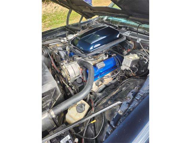 1977 Pontiac Firebird Trans Am (CC-2101823) for sale in Billings, Montana