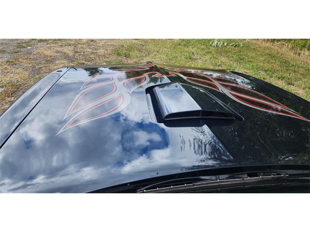 1977 Pontiac Firebird Trans Am (CC-2101823) for sale in Billings, Montana
