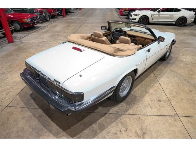 1992 Jaguar XJS (CC-2101877) for sale in Kentwood, Michigan