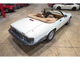 1992 Jaguar XJS (CC-2101877) for sale in Kentwood, Michigan
