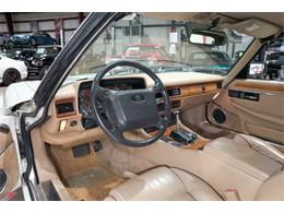 1992 Jaguar XJS (CC-2101877) for sale in Kentwood, Michigan