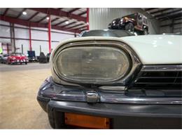 1992 Jaguar XJS (CC-2101877) for sale in Kentwood, Michigan