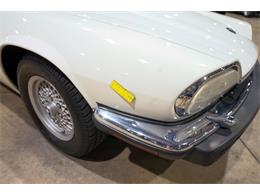 1992 Jaguar XJS (CC-2101877) for sale in Kentwood, Michigan