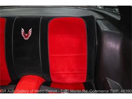 1981 Pontiac Firebird (CC-2101882) for sale in Kentwood, Michigan