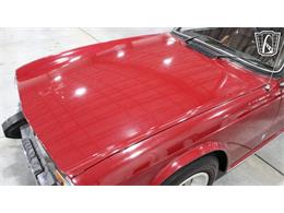 1974 Triumph TR6 (CC-2101919) for sale in Runnemede, New Jersey