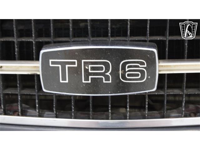1974 Triumph TR6 (CC-2101919) for sale in Runnemede, New Jersey