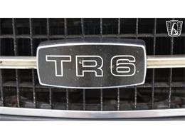1974 Triumph TR6 (CC-2101919) for sale in Runnemede, New Jersey