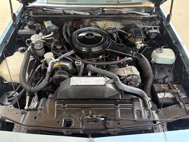 1986 Oldsmobile Cutlass Supreme (CC-2101926) for sale in Bradenton, Florida