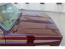 1982 Chevrolet C10 (CC-2101932) for sale in Houston, Texas