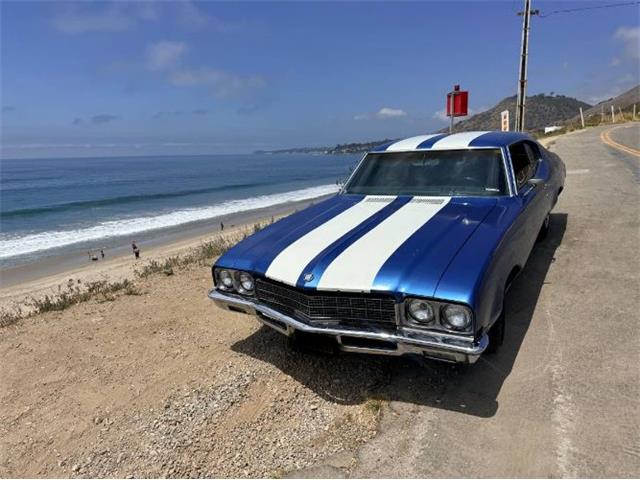 1972 Buick Skylark (CC-2101942) for sale in Cadillac, Michigan