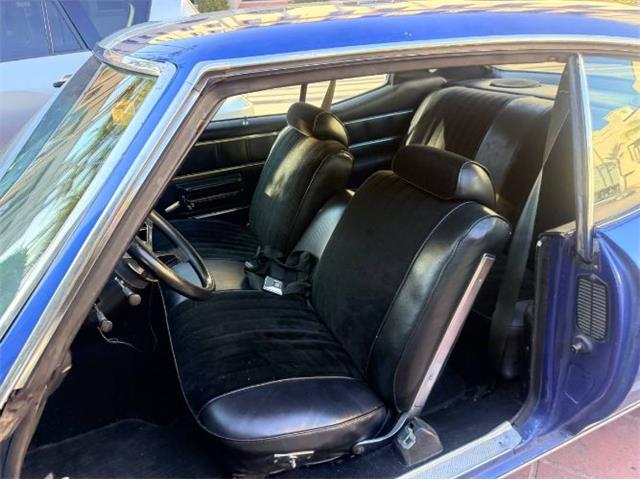1972 Buick Skylark (CC-2101942) for sale in Cadillac, Michigan