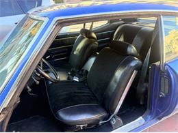 1972 Buick Skylark (CC-2101942) for sale in Cadillac, Michigan