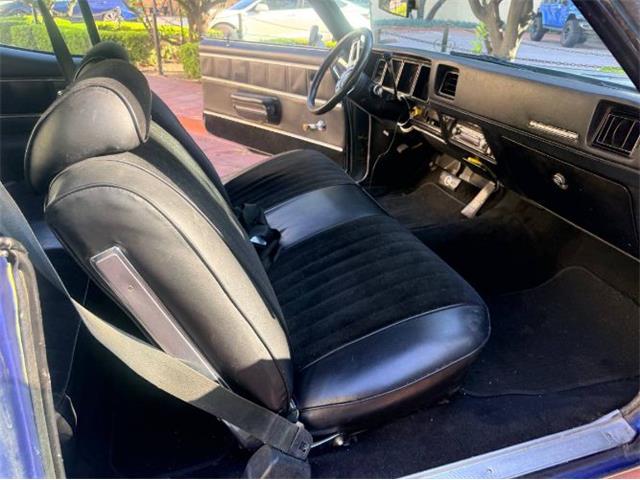 1972 Buick Skylark (CC-2101942) for sale in Cadillac, Michigan