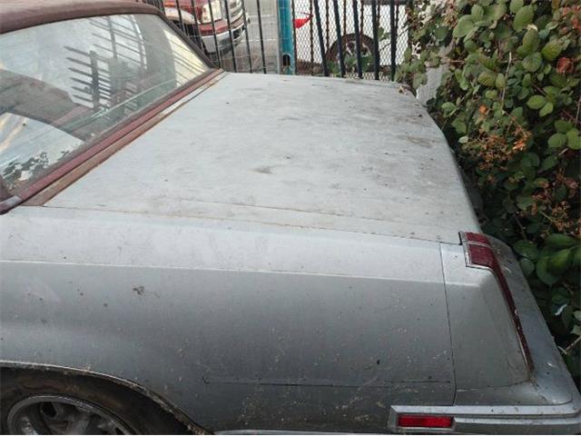 1981 Oldsmobile Cutlass (CC-2101952) for sale in Cadillac, Michigan