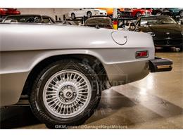 1976 Alfa Romeo 2000 Spider Veloce (CC-2101967) for sale in Grand Rapids, Michigan