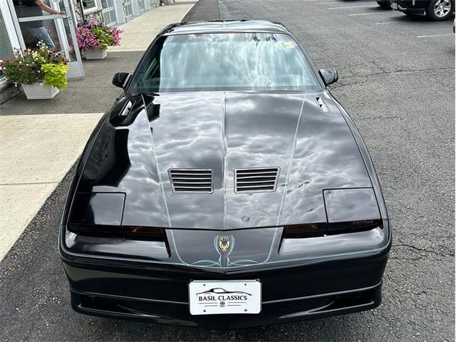 1989 Pontiac Firebird (CC-2101975) for sale in Depew, New York