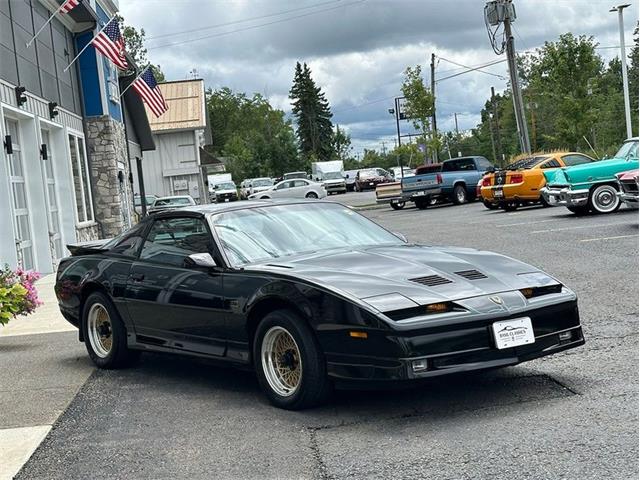 1989 Pontiac Firebird (CC-2101975) for sale in Depew, New York